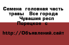 Семена (головная часть))) травы - Все города  »    . Чувашия респ.,Порецкое. с.